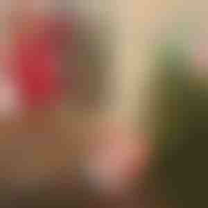 Mikołaj ze spadochronem  | SANTASWING