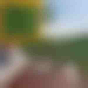 Panel ze sztucznych liści chroniący prywatność | LEAFPANEL