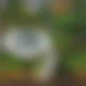 Światła podłogowe solarne do użytku zewnętrznego (3 szt.) | LUMIGARD