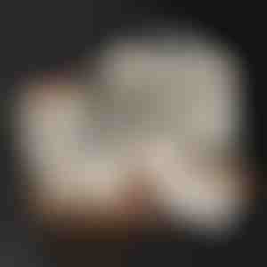 Zestaw pojemników do przechowywania żywności | LUNCHIO