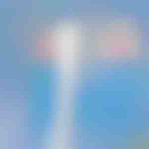 Teleskopowa myjka do okien | WINDCLEAN