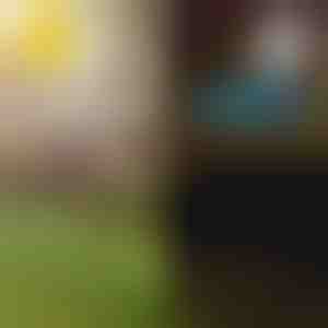 Tropikalne światła ogrodowe solarne | LUMIPALM