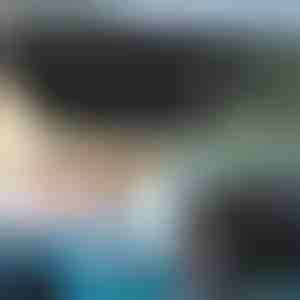 Samochodowa osłona przeciwsłoneczna | SHADESHELLA