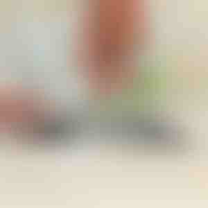 Uniwersalna ostrzałka do narzędzi ogrodowych i noży kuchennych | SHARPNINJA