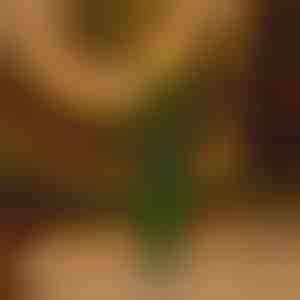 Migocząca świeca świąteczna bez płomienia | CANDLETREE