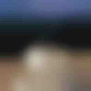 Kojący dyfuzor aromatu | MEDUSAMIST