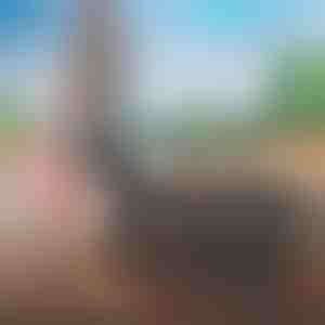 Łatwa do Spakowania Torba Podróżna | FOLDARA