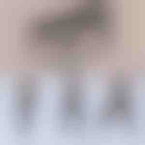 Wielofunkcyjny drążek do pilatesu | TONEBAR