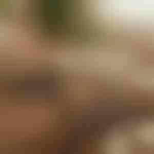 Magnetyczny samoprzylepny organizer kabli (12 sztuk) | CABLIP